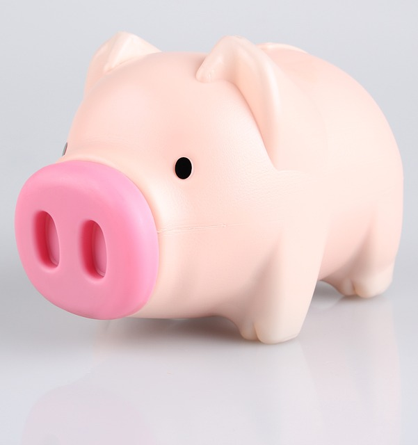 pig, piggy bank, moneybox