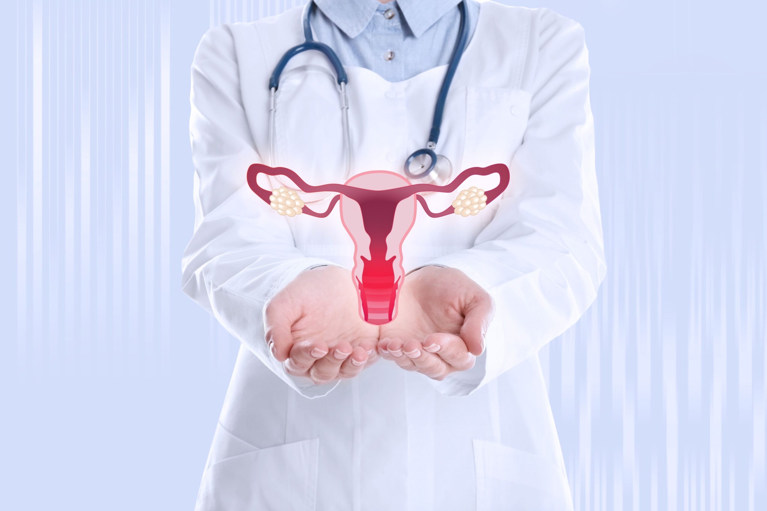 Illustration of woman's uterus