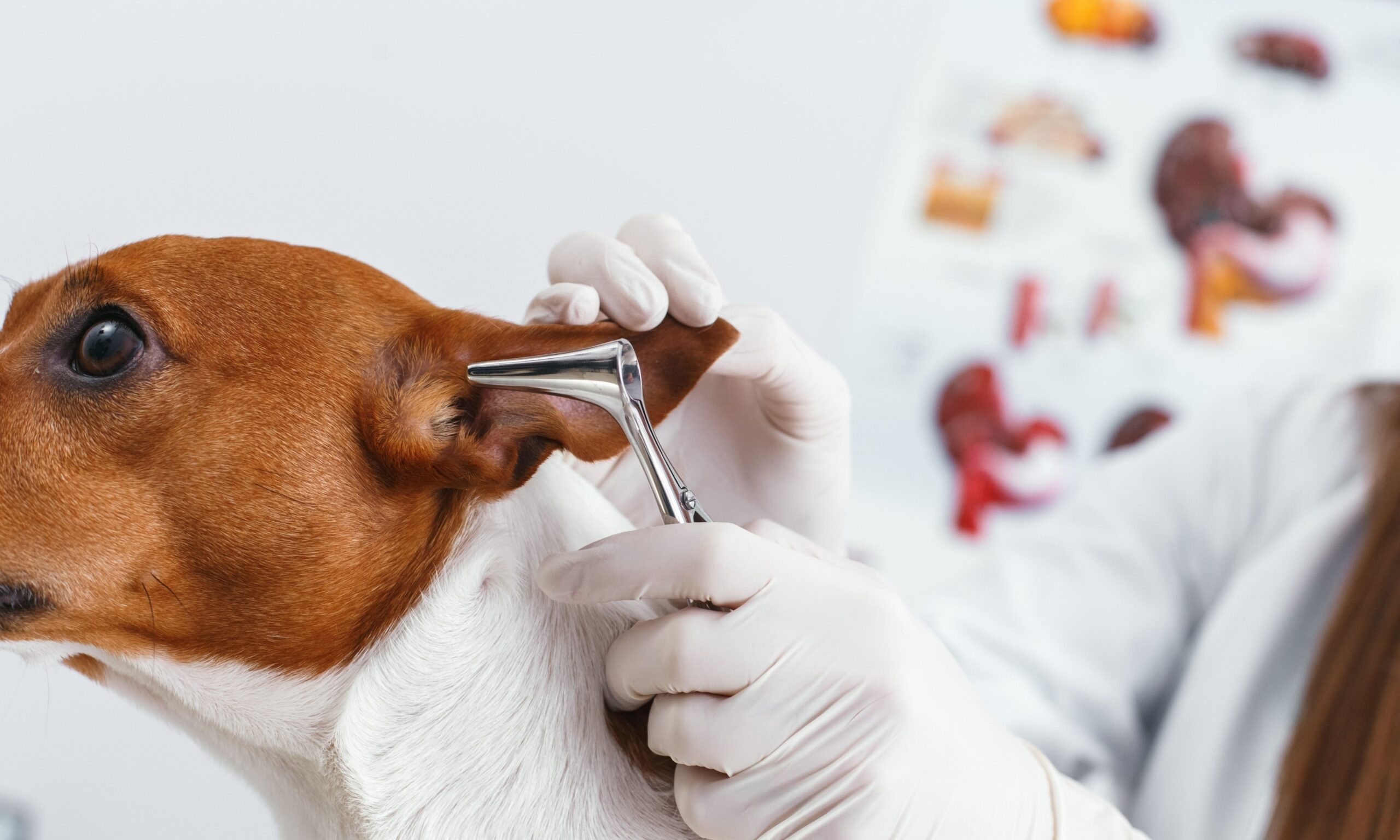 Vaccinations and hygiene for preventing ear infections