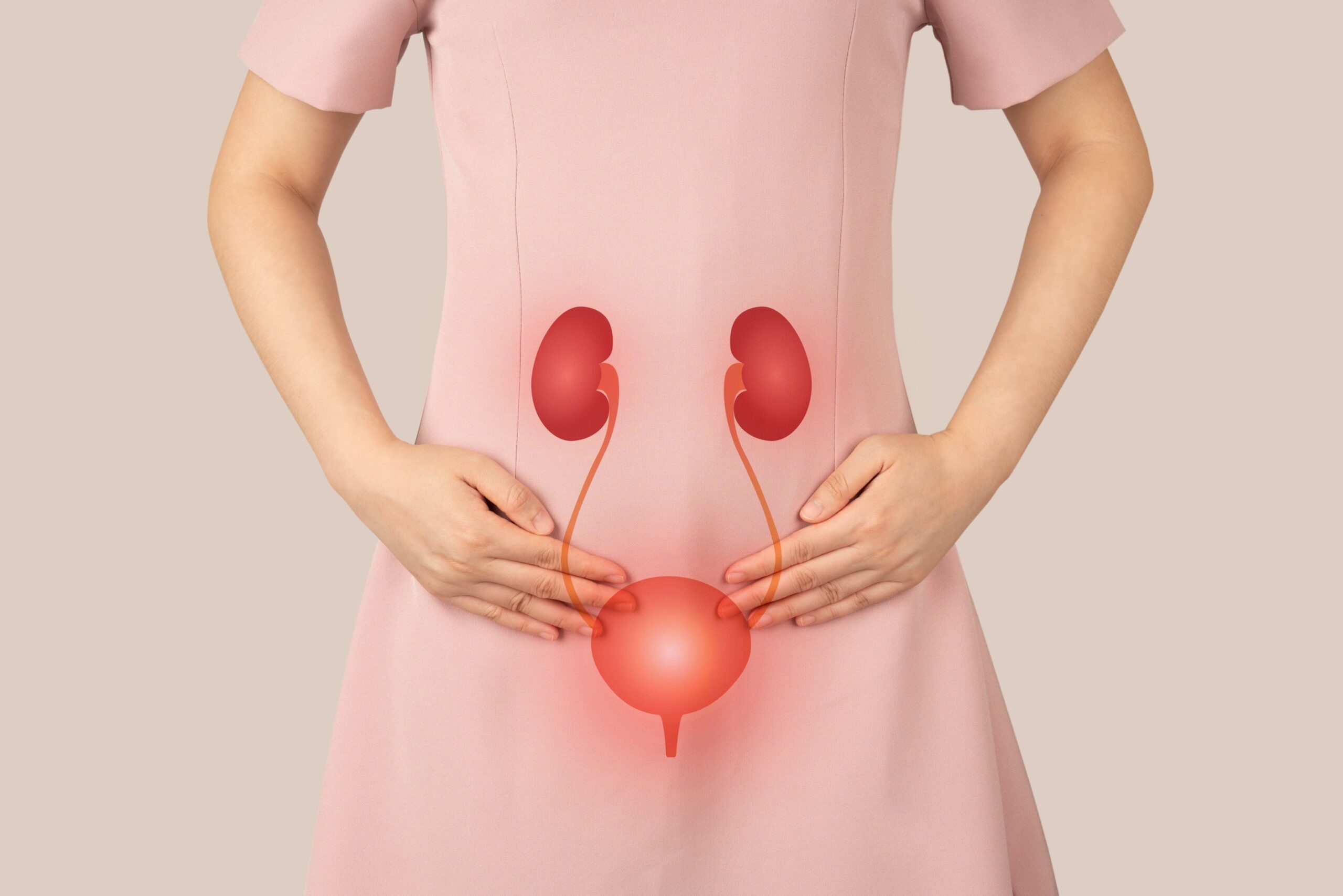 Illustration of urinary tract infection (UTI)